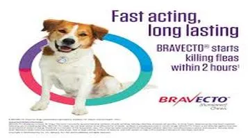 Bravecto Flea and Tick Prevention: A Comprehensive Review