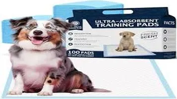 Paws & Pals Pet Training Pads Review