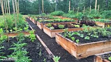 Best Vegetable Garden Layouts: A Comprehensive Guide to Maximizing Your Harvest