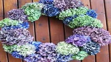 Hydrangea Wreath – A Blooming Beauty