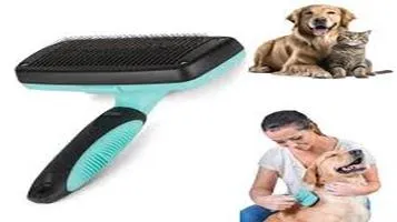 Hertzko Pet Grooming Brushes: A Comprehensive Review