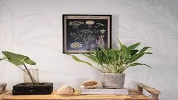 A Timeless Touch of Nature - Framed Botanical Prints Review