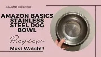 AmazonBasics Pet Food Bowls: A Comprehensive Review