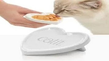 Catit Pet Food Bowls