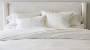 Pottery Barn Belgian Flax Linen Duvet Cover