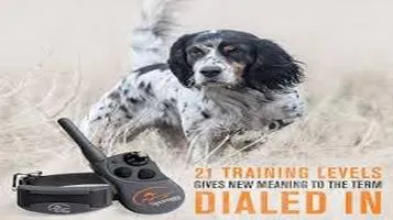 Review of SportDOG 425X Remote Training Collar: A Shock-Free Approach to Effective Training