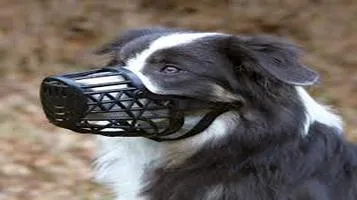 Review of the Trixie Muzzle for Pets