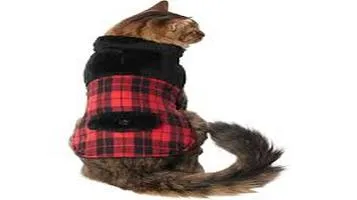 Frisco Pet Clothing Fashion and Functionality for Your Furry Friend