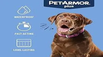 PetArmor Plus Flea and Tick Prevention: A Comprehensive Review