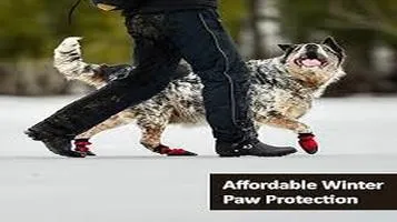 Review of Muttluks Pet Boots: The Ultimate Paw Protection for Your Furry Friend