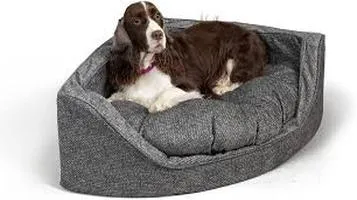 Review of Snoozer Pet Beds: A Blend of Comfort, Quality, and Style