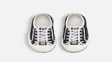 Dior Sneakers: A Symphony of Luxury and Style