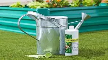 Fish Emulsion: The Organic Fertilizer Your Garden Needs