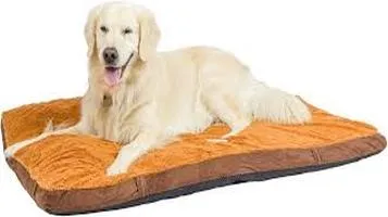 Armarkat Heated Pet Beds: A Comprehensive Review