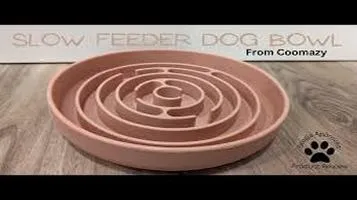 Pawsitively Posh Slow Feeder Bowls: A Comprehensive Review