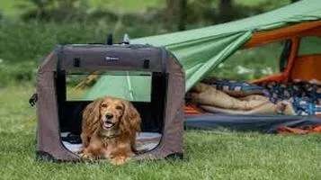 Veehoo Pet Tents: A Comprehensive Review