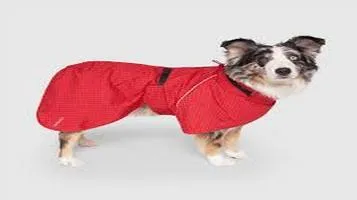 PetCakes Pet Raincoat: A Comprehensive Review