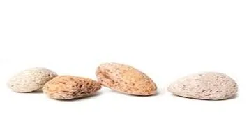 The Marvels of the Pumice Stone - A Comprehensive Analysis