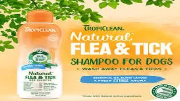 TropiClean Flea Comb: A Comprehensive Review