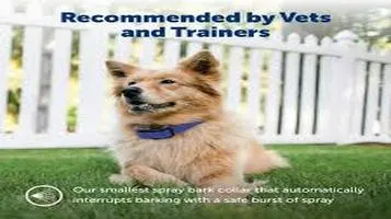 Review of PetSafe Elite Little Dog Remote Trainer: Shock-Free Training Collar