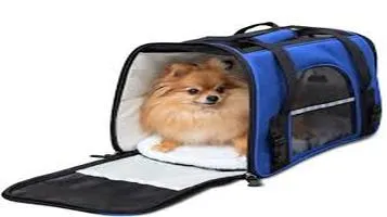 Paws & Pals Pet Carrier A Comprehensive Look at Comfort, Durability, and Convenience