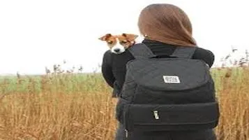 Pet Gear Pet Backpacks: A Comprehensive Review