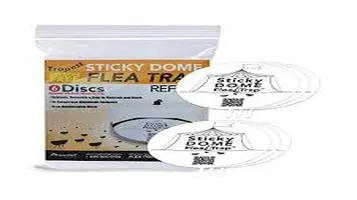 Sticky Traps: An Effective, but Contentious Pest Control Solution