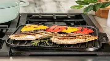 Lodge Cast Iron Grill Pan Electric Grill