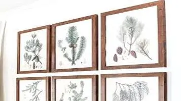 Framed Botanical Prints - Nature's Artistry Captured in Elegance