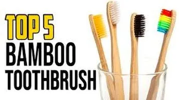 Bamboo Toothbrushes: A Detailed Review