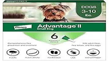 Advantage II Flea and Tick Prevention: A Comprehensive Review