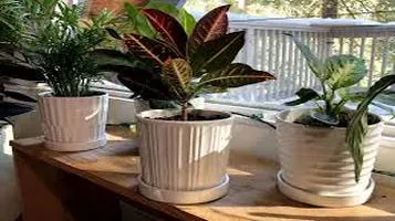 Planters and Pots: A Comprehensive Review