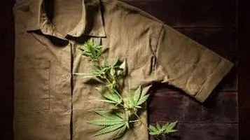 Hemp Clothing - A Green Revolution in Fashion