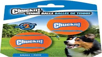 Chuckit! Pet Toys - The Ultimate Playtime Experience for Your Furry Friend