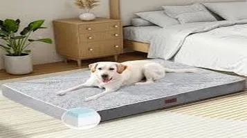 Zinus Pet Beds