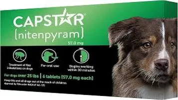 Capstar Flea and Tick Prevention