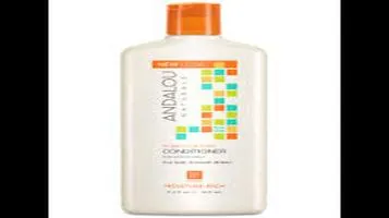 Andalou Naturals Argan Oil & Shea Moisture Conditioner