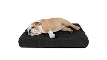 Review of K9 Ballistics Pet Orthopedic Beds