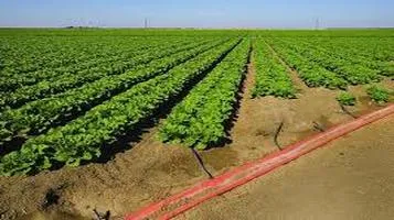 Drip Irrigation Systems: A Modern Solution for Efficient Water Use in Agriculture