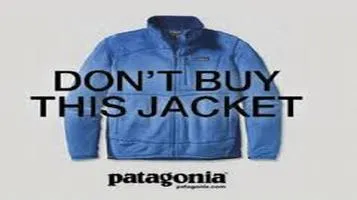 Patagonia: A Commitment to Sustainability and Quality