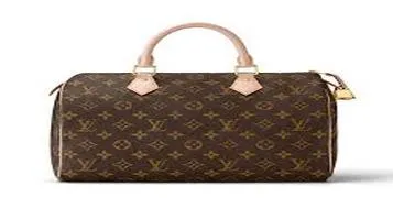 Review of the Louis Vuitton Speedy: An Iconic Investment Piece