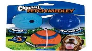 Outward Hound Chuckit! Fetch Ball Pet Ball Launcher: A Comprehensive Review