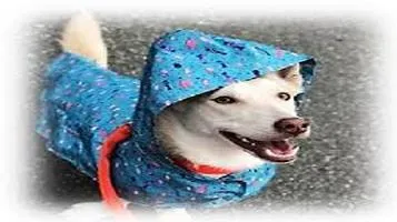 RC Pet Products Pet Raincoat