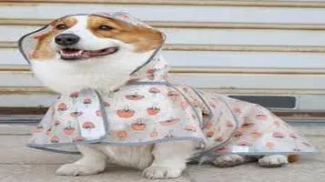 Doggie Design Pet Raincoat