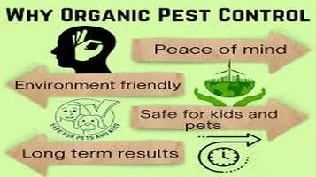 Exploring the Efficacy and Benefits of Organic Pest Control Methods