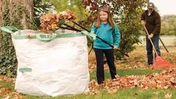 The Trusty Garden Rake - An Indispensable Tool for Every Gardener