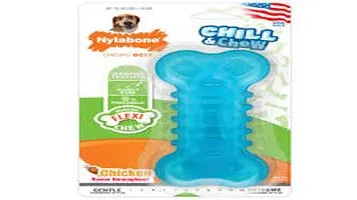 Nylabone Pet Toys: A Comprehensive Review