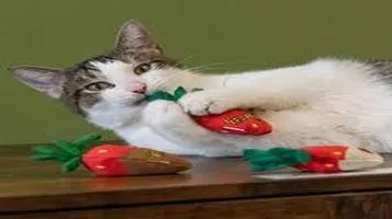 Yeowww! Catnip Toys: A Purrfect Delight for Feline Friends