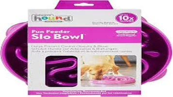 Outward Hound Fun Feeder Pet Water Bowls