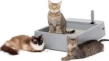 A Comprehensive Review of the PetSafe Litter Box: Convenience Meets Innovation